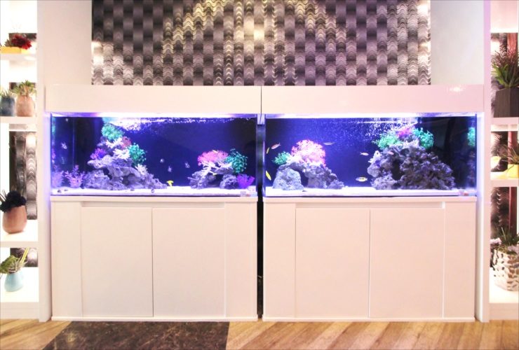 神奈川県厚木市　ホテルのエントランス　120cm海水魚水槽 レンタル事例 水槽画像２