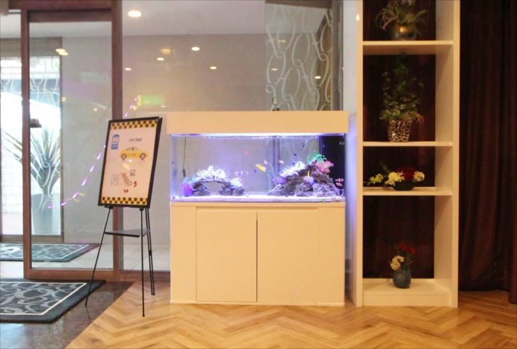 神奈川県厚木市　ホテルのエントランス　120cm海水魚水槽 レンタル事例 水槽画像３