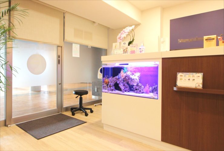 神奈川県　内科クリニックの待合室　80cm海水魚水槽 レンタル事例 水槽画像２
