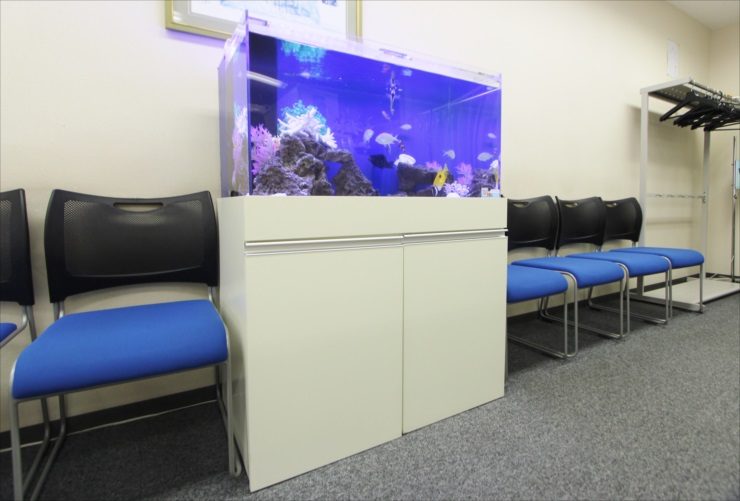 渋谷区　クリニックの待合室　90cm海水魚水槽レンタル事例　その後 水槽画像３