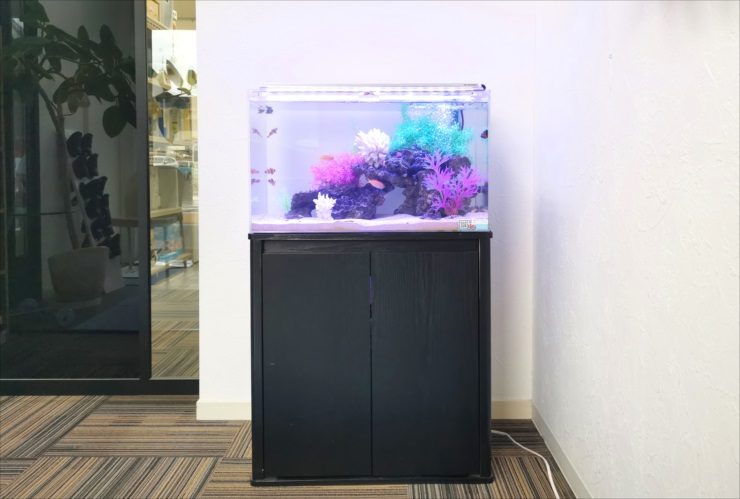 オフィスの打ち合わせスペース 幻想的な60cm海水魚水槽　レンタル事例 水槽画像２