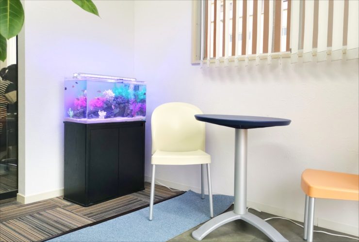 オフィスの打ち合わせスペース 幻想的な60cm海水魚水槽　レンタル事例 水槽画像３