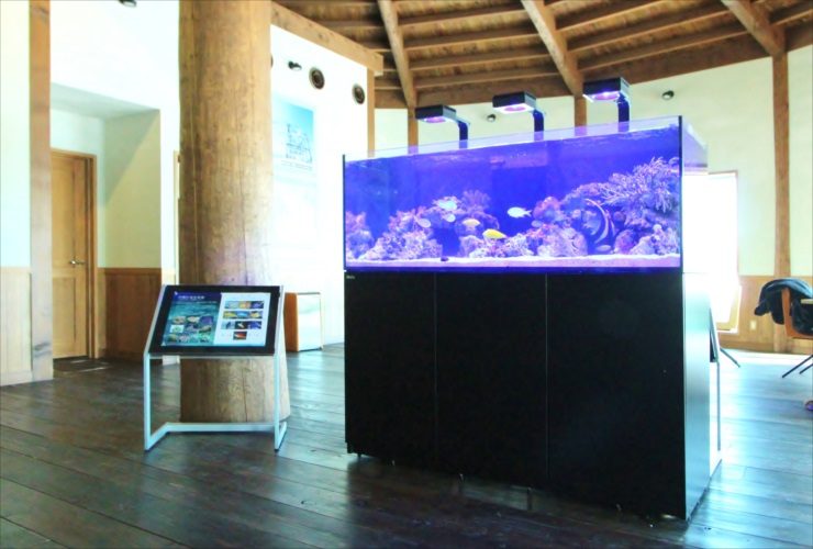北海道苫小牧市 企業施設 150cm海水魚・サンゴ水槽入替 水槽販売事例 水槽画像１