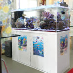 大阪市　不動産事務所 120cm海水魚サンゴ水槽 水槽レンタル事例