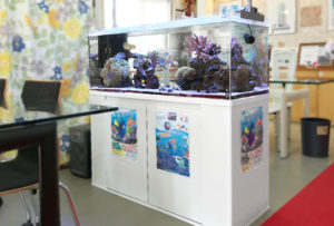 大阪市　不動産事務所 120cm海水魚サンゴ水槽 水槽レンタル事例 水槽画像１