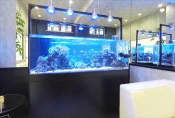 神奈川県川崎市 オフィス 150cm海水魚水槽　販売・設置事例　その後 水槽画像１