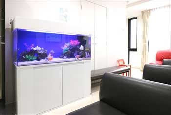 練馬区　皮膚科小児科の待合室 120cm海水魚水槽　水槽リース事例 水槽画像１