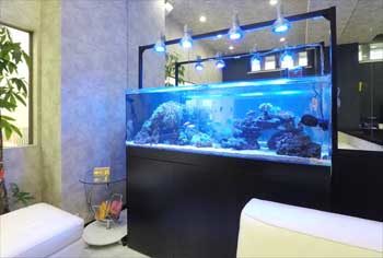神奈川県川崎市 オフィス 150cm海水魚水槽　販売・設置事例　その後 水槽画像２
