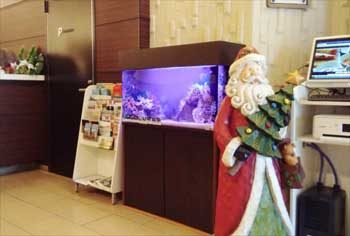 厚木市　ホテルのエントランス 90cm海水魚 水槽レンタル　移動事例 水槽画像２