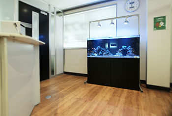 千葉県船橋市　オフィス 120cm海水魚水槽 レンタル事例のその後 水槽画像２
