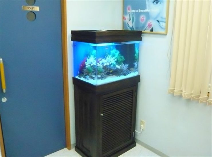 横浜市 歯科医院様  60cm海水魚水槽  設置事例 水槽画像１