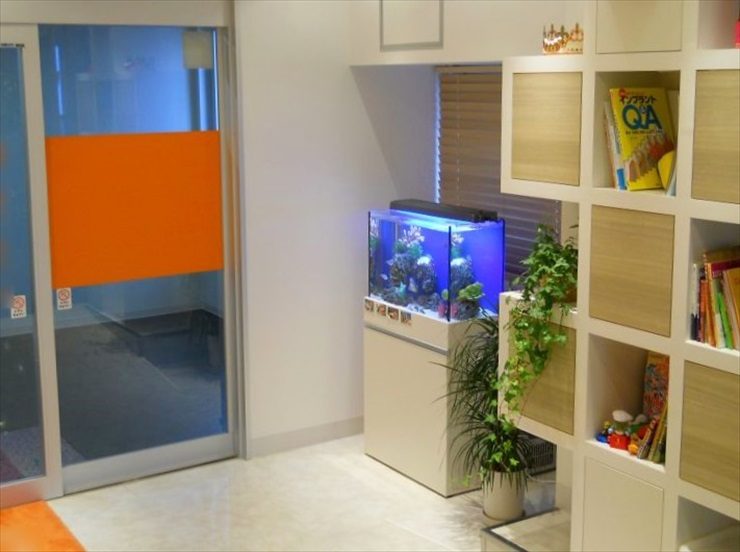 東京都北区 歯科医院様  60cm海水魚水槽  レンタル事例 水槽画像１