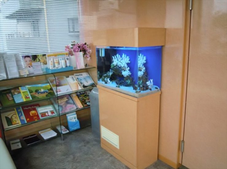 渋谷区 皮膚科様  60cm海水魚水槽  水槽レンタル 事例 水槽画像１
