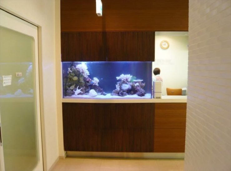 千葉県 産婦人科様  150cm海水魚水槽  設置事例 水槽画像１