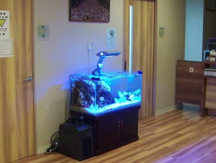 神奈川県川崎市 内科医院様  90cm海水魚水槽  設置事例 水槽画像１