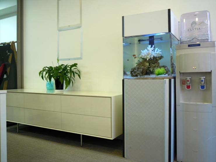 インデックス株式会社様 45cm海水魚水槽  設置事例 水槽画像１