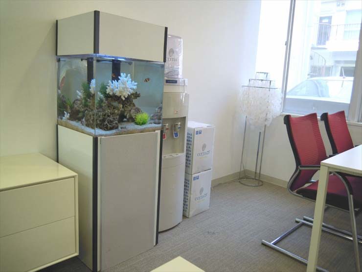 インデックス株式会社様 45cm海水魚水槽  設置事例 水槽画像２