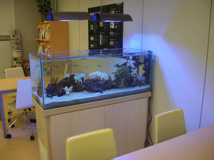 東京都渋谷区　企業様　オフィス  120cm海水魚水槽  レンタル事例 水槽画像１