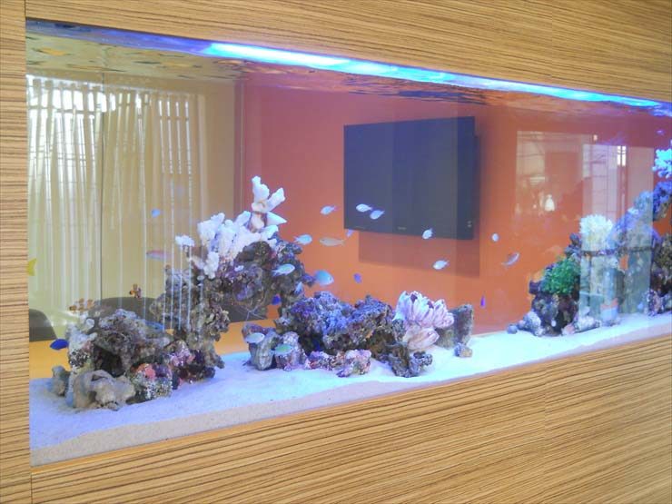 渋谷区 企業様  200cm海水魚水槽  販売・メンテナンス事例 水槽画像２