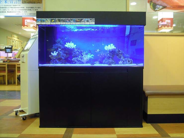 神奈川県川崎市 飲食店様  120cm海水魚水槽  設置事例 水槽画像２