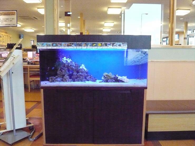 神奈川県厚木市 飲食店様  120cm海水魚水槽  設置事例 水槽画像１