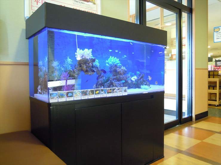 大田区 飲食店様  120cm海水魚水槽  設置事例 水槽画像１
