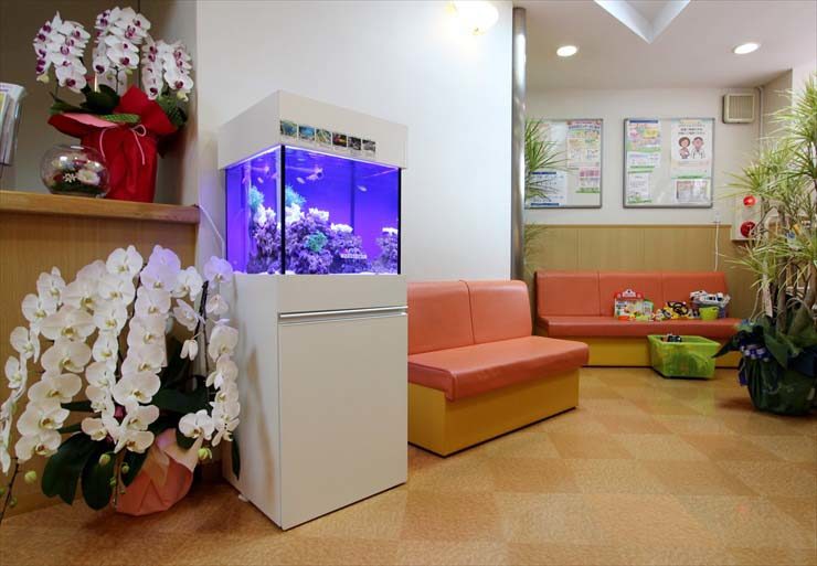 神奈川県横浜市 小児科様  45cm海水魚水槽 設置 レンタル事例 水槽画像１