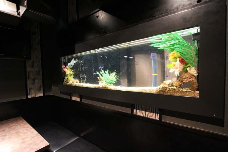 新宿区 飲食店様  150cm海水魚水槽  設置事例 水槽画像３