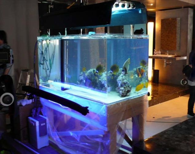 CM撮影  120ｃｍ海水魚水槽 短期レンタル 水槽設置事例 メイン画像