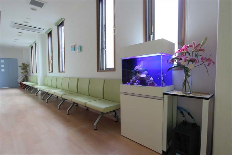 埼玉県富士見市 病院様  60cm海水魚水槽  レンタル事例 メイン画像