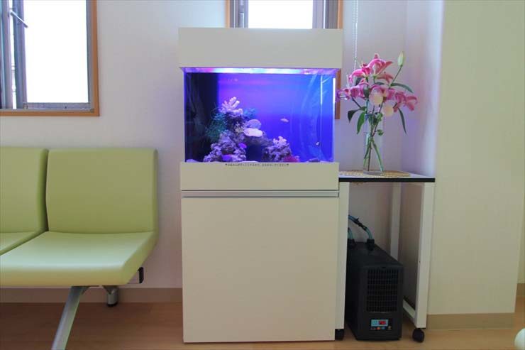 埼玉県富士見市 病院様  60cm海水魚水槽  レンタル事例 水槽画像３