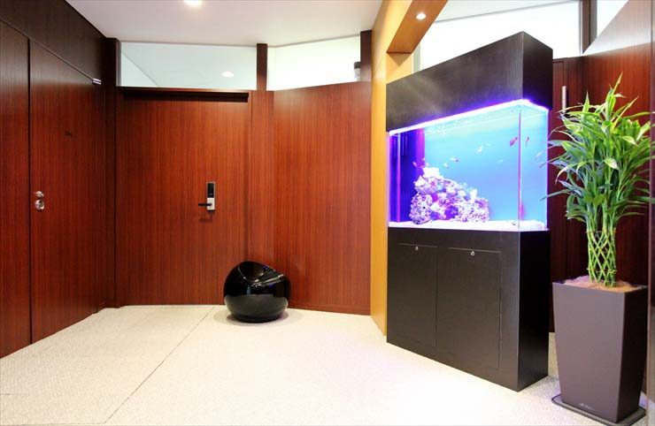 渋谷区 企業様  90cm海水魚水槽  設置事例 メイン画像