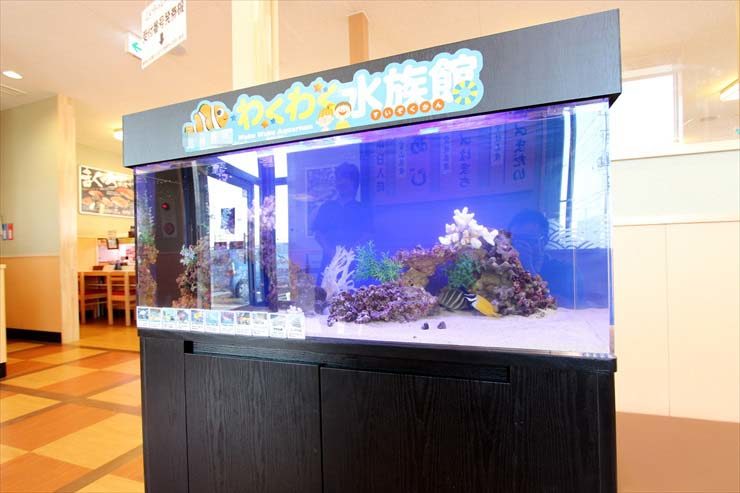 埼玉県越谷市 飲食店様  120cm海水魚水槽  設置事例 水槽画像３