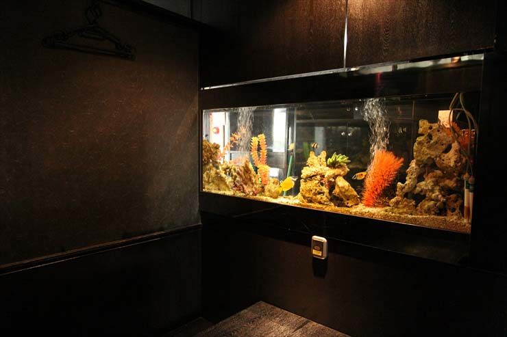 上野 飲食店様  60cm海水魚水槽  設置事例 水槽画像２