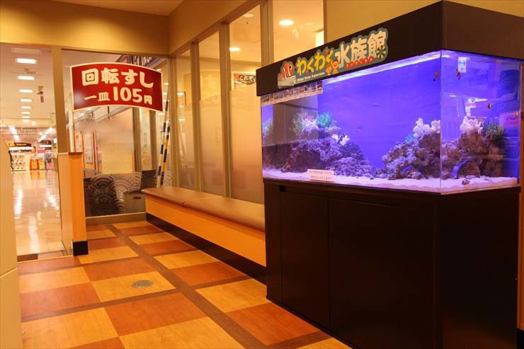 埼玉県大宮 飲食店  120cm海水魚水槽  設置事例 水槽画像２