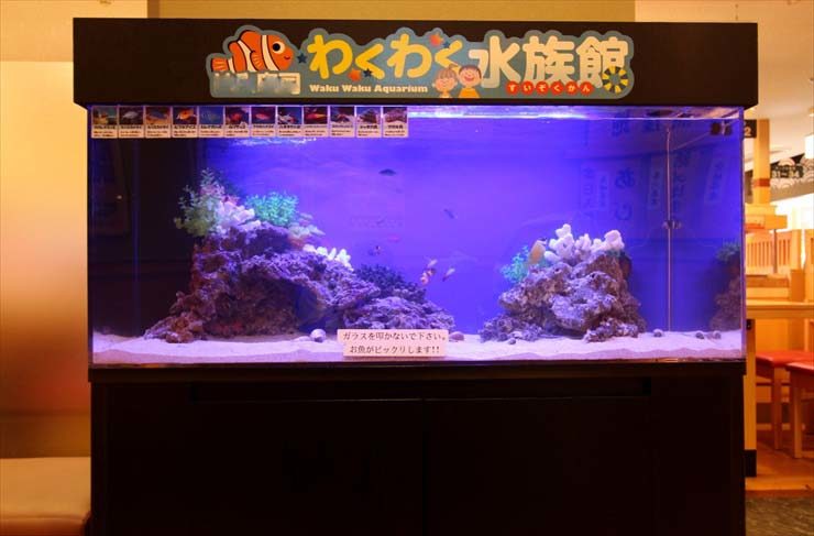 埼玉県大宮 飲食店  120cm海水魚水槽  設置事例 水槽画像３