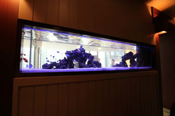 東京都三鷹市 美容院様  200cm海水魚水槽  メンテナンス事例 水槽画像２
