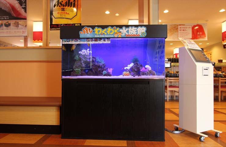 東京都板橋区 飲食店様  120cm海水魚水槽  設置事例 水槽画像３