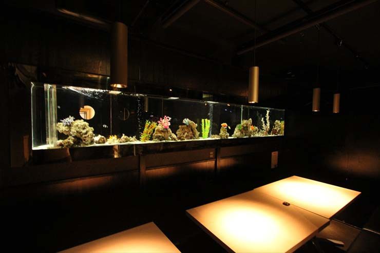 上野 飲食店様  180cm海水魚水槽  設置事例 水槽画像２