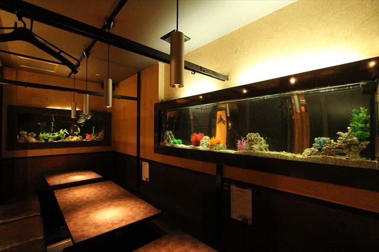 上野 飲食店様  180cm海水魚水槽  設置事例 水槽画像３