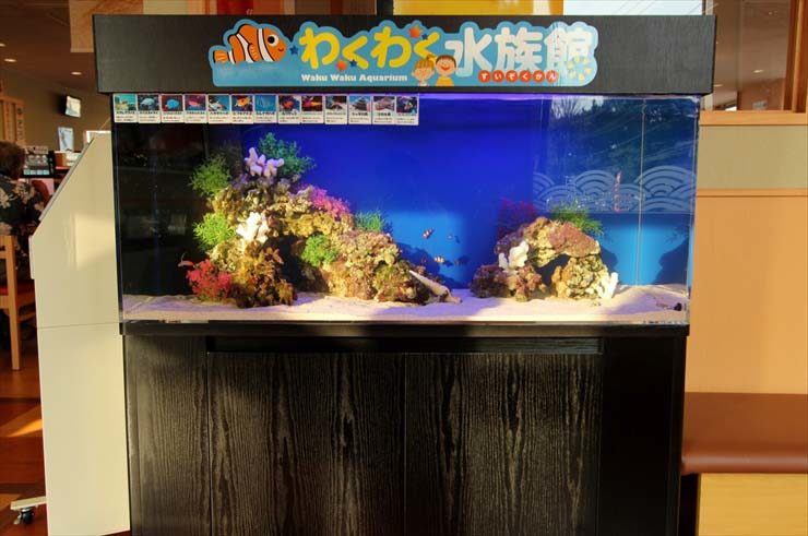 埼玉県上尾市 飲食店様  120cm海水魚水槽  設置事例 水槽画像３