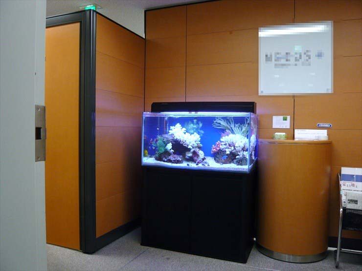 東京都千代田区 企業様  90cm海水魚水槽  設置事例 水槽画像１