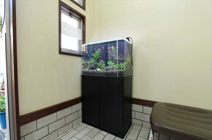 東京都練馬区 薬局様  60cm淡水魚水槽  レンタル事例 水槽画像３