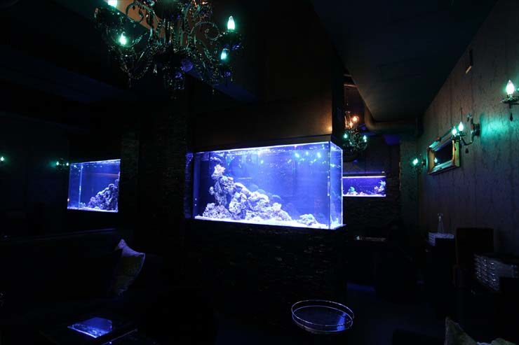 東京都 ファルファーラ様  180cm海水魚水槽  設置事例 メイン画像