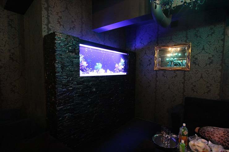 東京都 ファルファーラ様  160cm淡水魚水槽  設置事例 水槽画像２