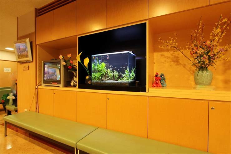 神奈川県横浜市 病院様  60cm淡水魚水槽  設置事例 メイン画像