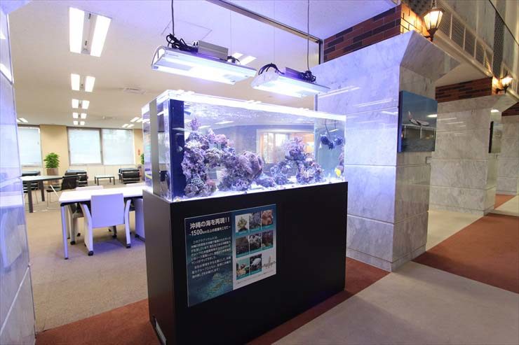 神奈川県横浜市 企業様  150cm海水魚水槽  設置事例 水槽画像２