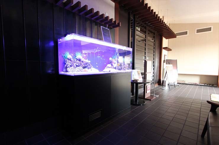 神奈川県川崎市 湯けむりの庄様 イベント  水槽設置事例 水槽画像２