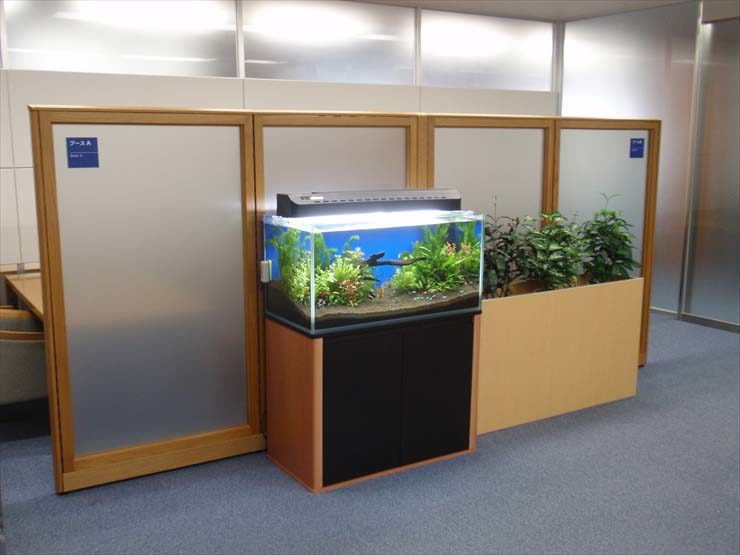 港区 企業様　オフィスの水槽レンタル事例　90cm淡水魚水槽 水槽画像１