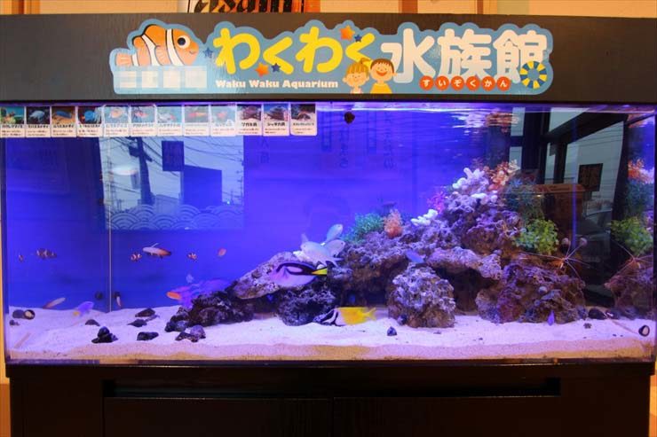 神奈川県海老名市  120cm海水魚水槽  設置事例 水槽画像２